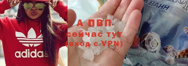 мдпв Володарск