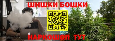 индика Беслан