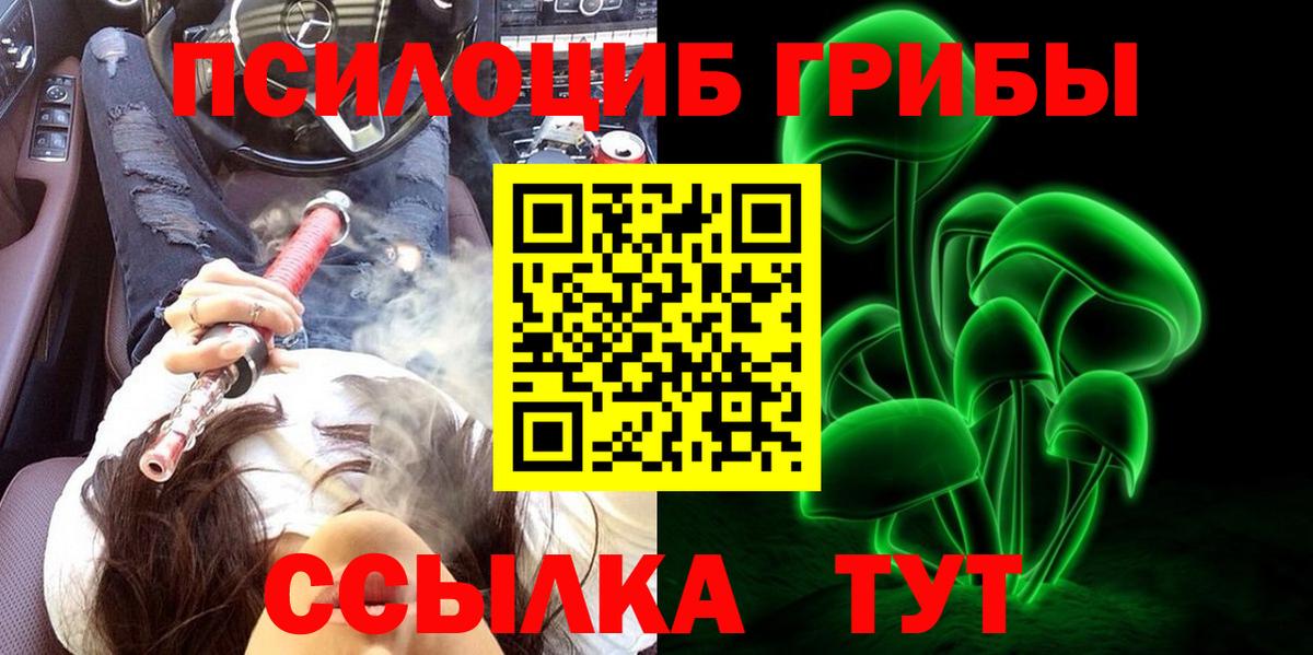 Псилоцибиновые грибы Psilocybine cubensis  Вход с VPN  Псилоцибиновые грибы Psilocybine cubensis  Стрежевой 