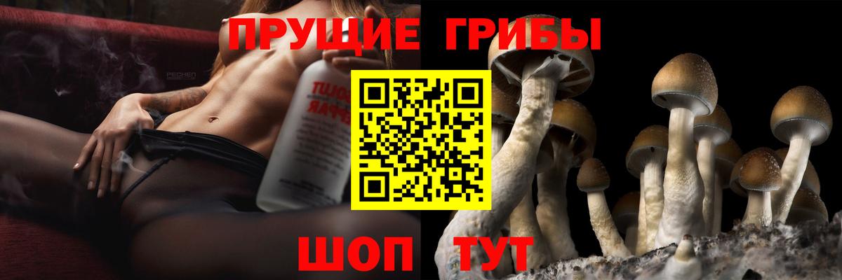 Псилоцибиновые грибы ЛСД Стрежевой