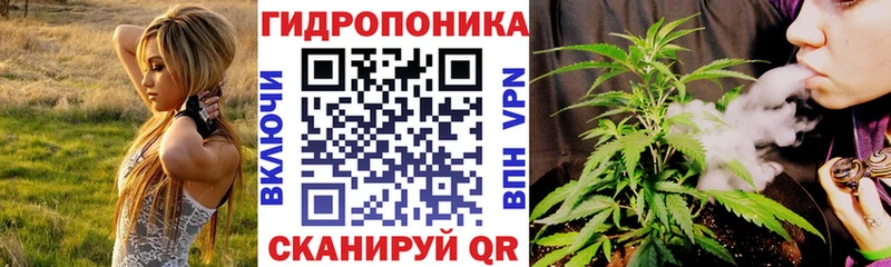 продажа наркотиков  Стрежевой  Бошки марихуана семена 
